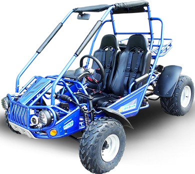 TrailMaster 300E XRS (EFI) Dune Buggy Go Kart, Liquid Cooled, Chain Drive