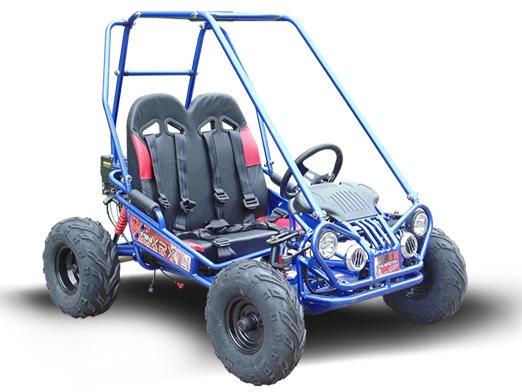 TrailMaster MINI XRX/R+ Go Kart, 5.5hp Parental Remote Control with Reverse, Kids Ages 4-9
