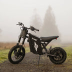 Freego X0 Electric Mini Bike