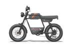 Riding Times GT33 All-Terrain Cafe Racer Cargo Electric Bike