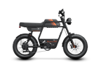 Riding Times GT33 All-Terrain Cafe Racer Cargo Electric Bike