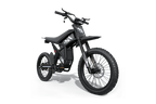 Riding Times GT73 Electric Motorbike