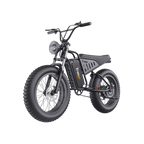 Freego S1 Cafe Racer eBike