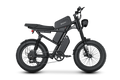 Riding Times Z8 Electric Bike
