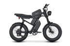 Riding Times Z8 Electric Bike